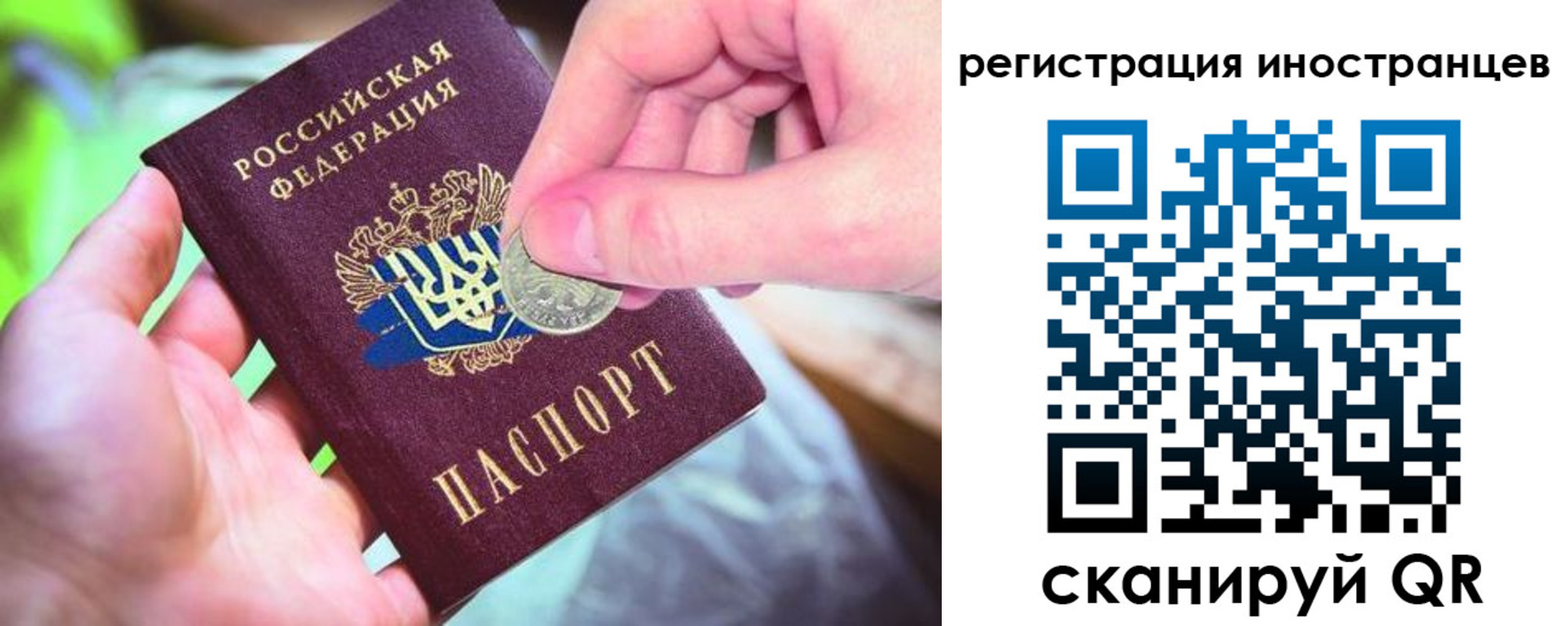 прописка для работы в Бабаево